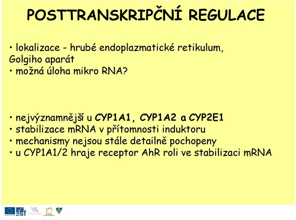 nejvýznamnější u CYP1A1, CYP1A2 a CYP2E1 stabilizace mrna v přítomnosti