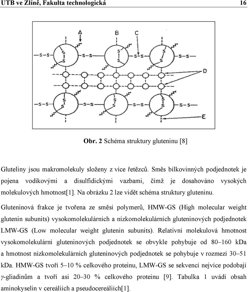 Gluteninová frakce je tvořena ze směsí polymerů, HMW-GS (High molecular weight glutenin subunits) vysokomolekulárních a nízkomolekulárních gluteninových podjednotek LMW-GS (Low molecular weight