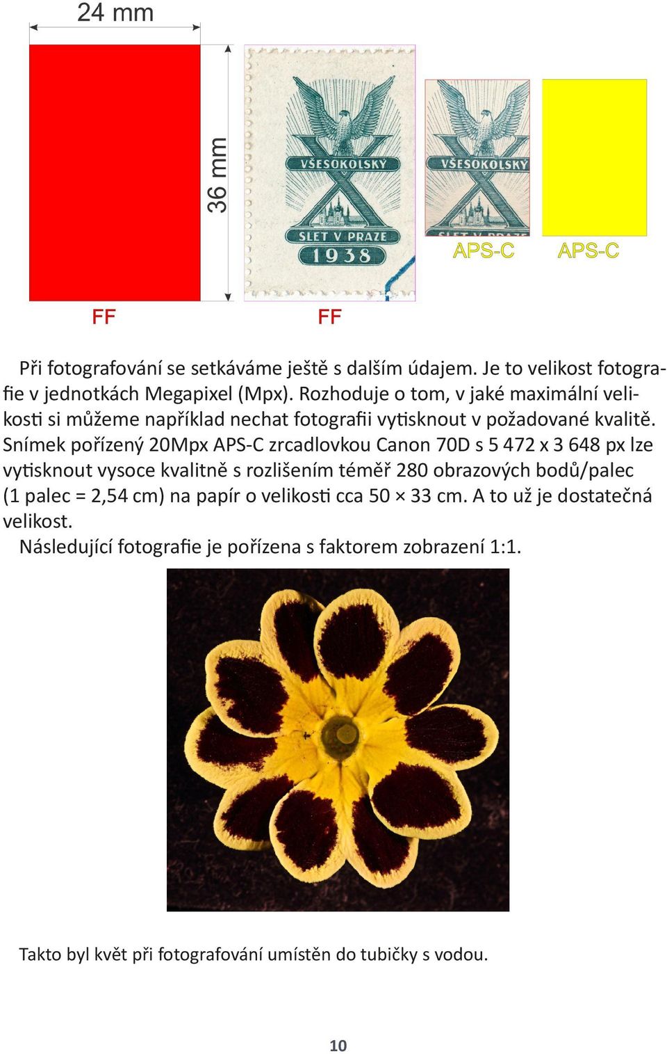 Snímek pořízený 20Mpx APS-C zrcadlovkou Canon 70D s 5 472 x 3 648 px lze vy sknout vysoce kvalitně s rozlišením téměř 280 obrazových bodů/palec (1 palec = 2,54