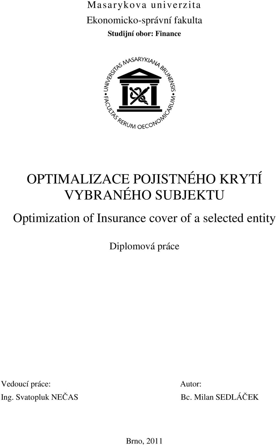 Optimization of Insurance cover of a selected entity Diplomová