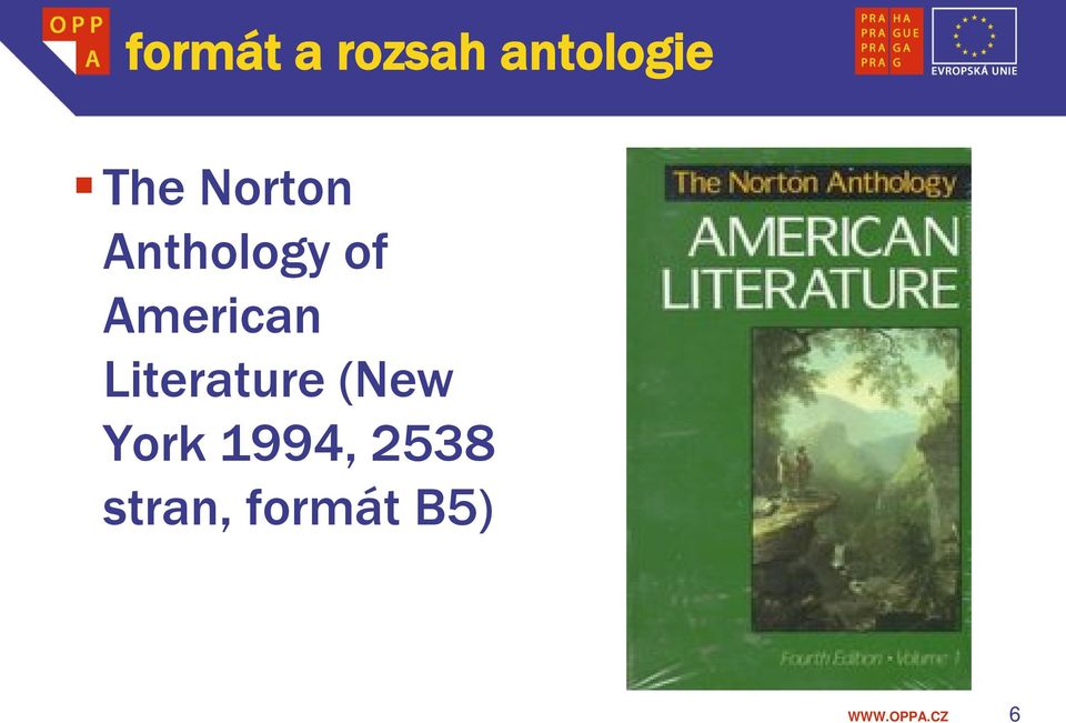 American Literature (New