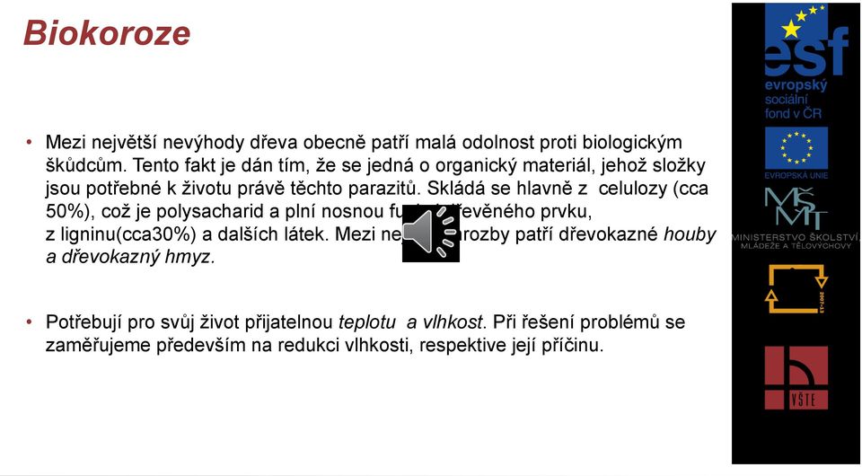 Skládá se hlavně z celulozy (cca 50%), což je polysacharid a plní nosnou funkci dřevěného prvku, z ligninu(cca30%) a dalších látek.