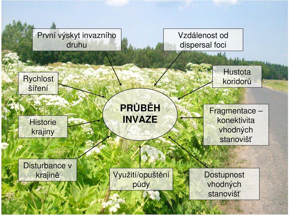 koridorů Fragmentace konektivita vhodných stanovišť