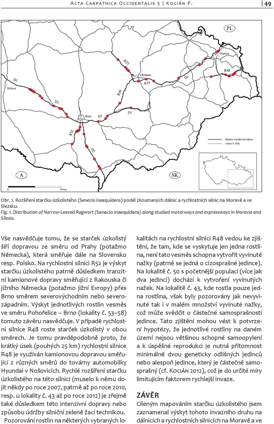 Distribution of Narrow-Leaved Ragwort (Senecio inaequidens) along studied motorways and expressways in Moravia and Silesia.