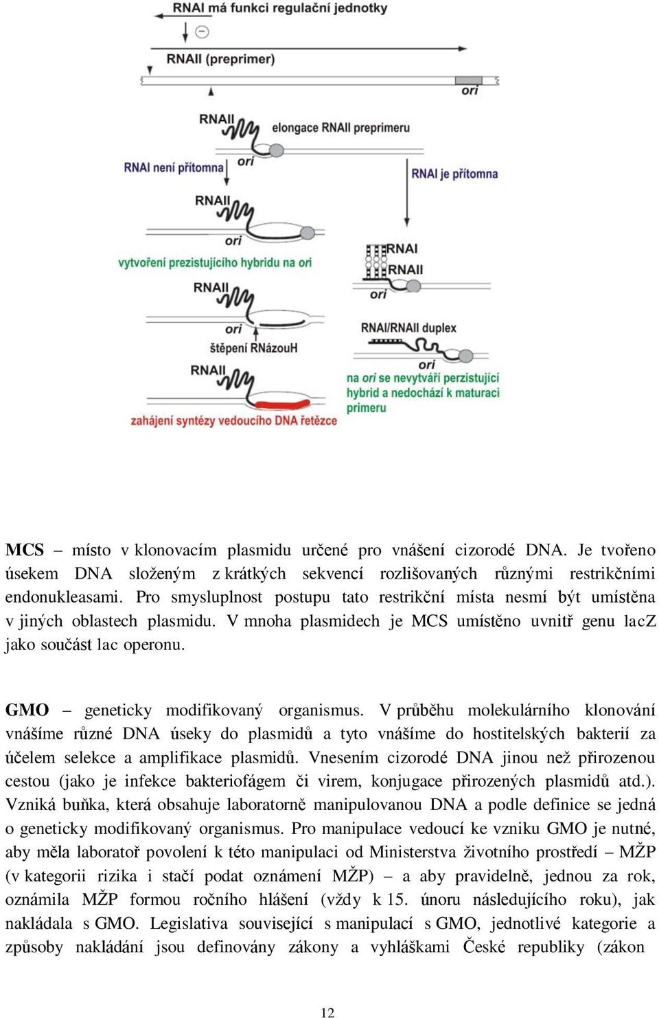 GMO geneticky modifikovaný organismus. V průběhu molekulárního klonování vnášíme různé DNA úseky do plasmidů a tyto vnášíme do hostitelských bakterií za účelem selekce a amplifikace plasmidů.