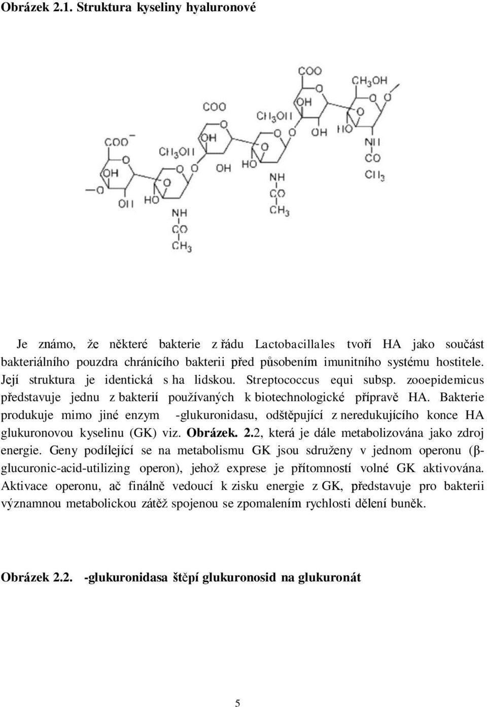 Její struktura je identická s ha lidskou. Streptococcus equi subsp. zooepidemicus představuje jednu z bakterií používaných k biotechnologické přípravě HA.