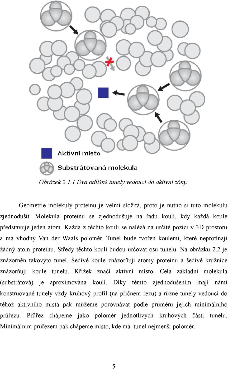 Tunel bude tvořen koulemi, které neprotínají žádný atom proteinu. Středy těchto koulí budou určovat osu tunelu. Na obrázku 2.2 je znázorněn takovýto tunel.