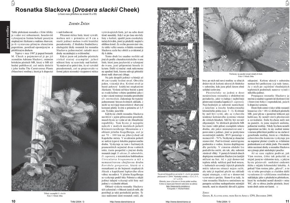 Cheek a pojmenoval ji po již zesnulém Adrianu Slackovi, známém britském pěstiteli MR, který o MR též hodně publikoval, což může doložit i jeho kniha The Carnivorous Plants (Masožravé rostliny), která