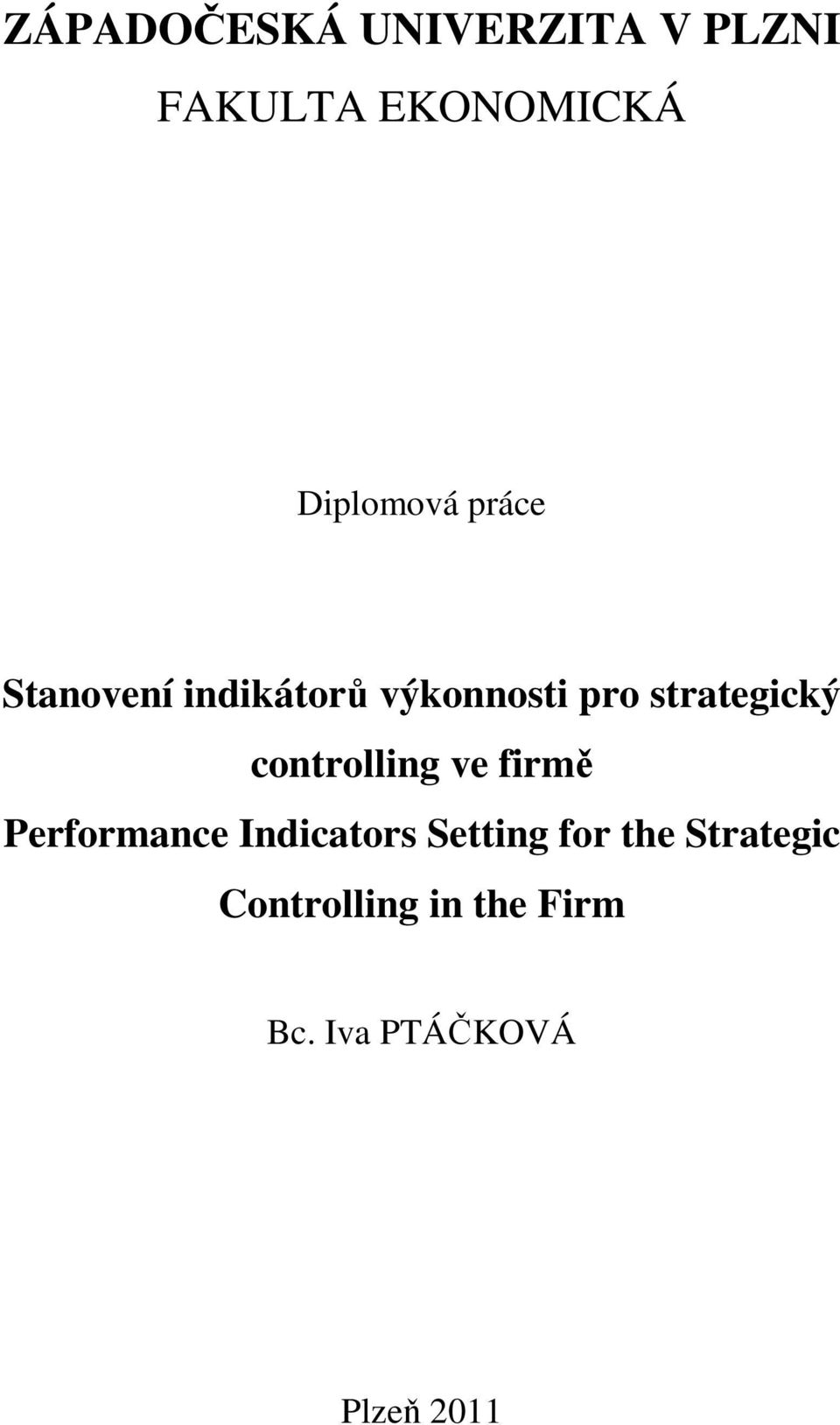 strategický controlling ve firmě Performance Indicators