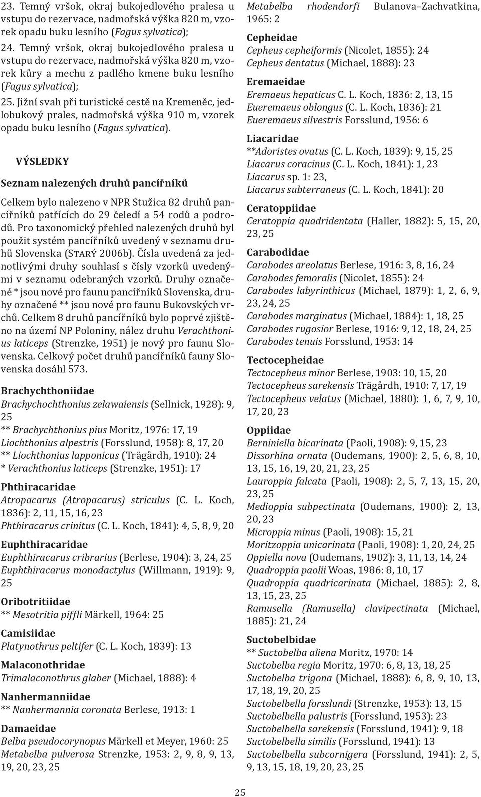 Jižní svah při turistické cestě na Kremeněc, jedlobukový prales, nadmořská výška 910 m, vzorek opadu buku lesního (Fagus sylvatica).