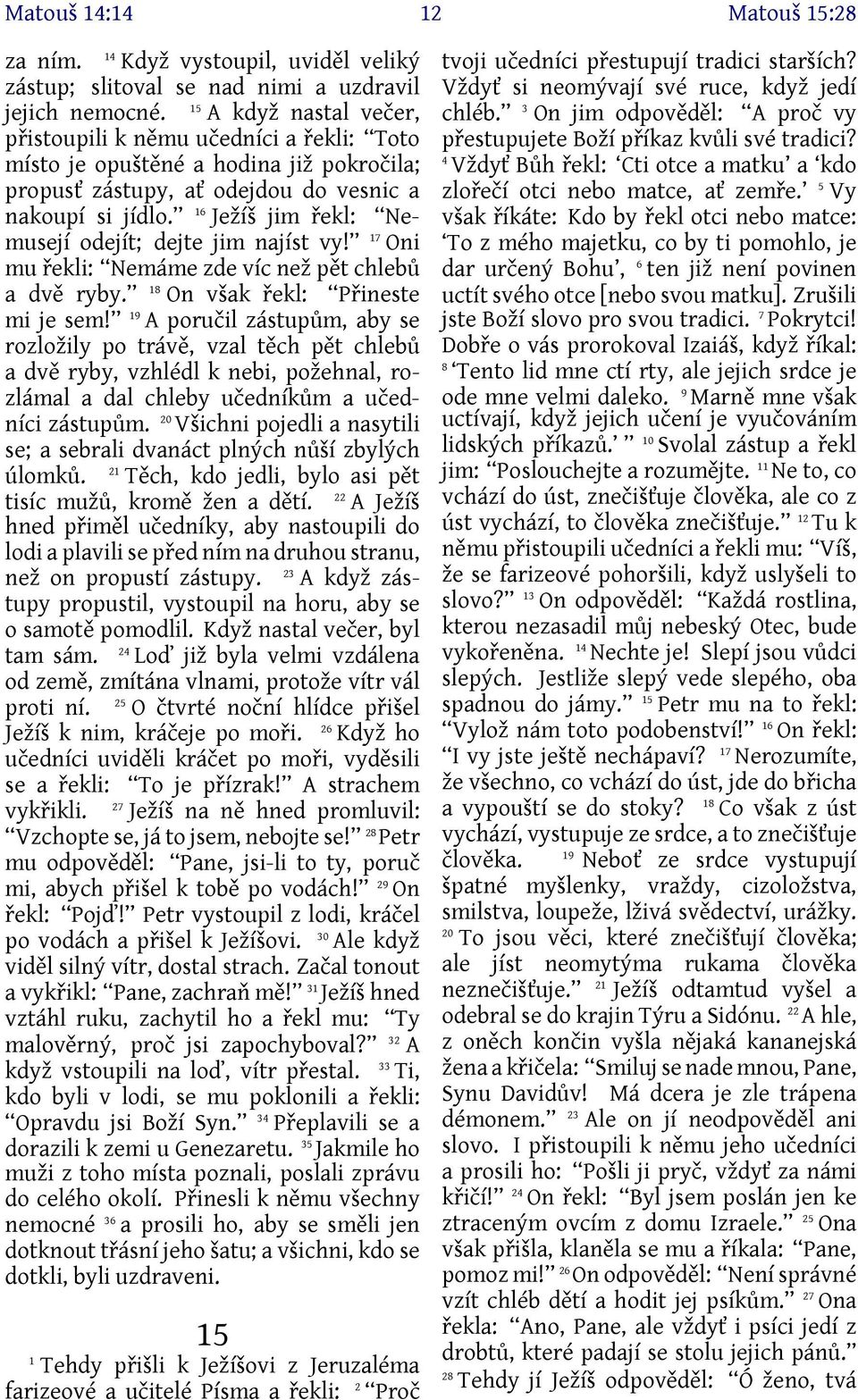 6 Ježíš jim řekl: Nemusejí odejít; dejte jim najíst vy! 7 Oni mu řekli: Nemáme zde víc než pět chlebů a dvě ryby. 8 On však řekl: Přineste mi je sem!