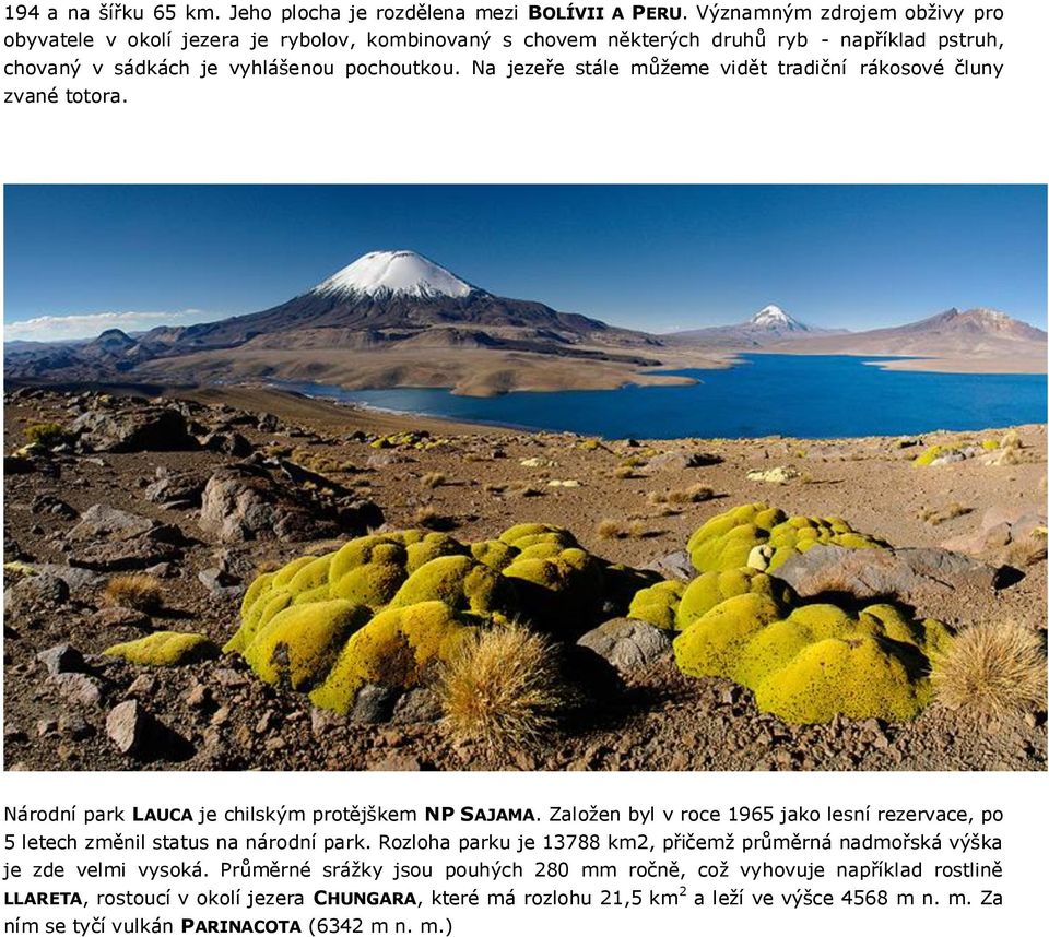 Na jezeře stále můžeme vidět tradiční rákosové čluny zvané totora. Národní park LAUCA je chilským protějškem NP SAJAMA.