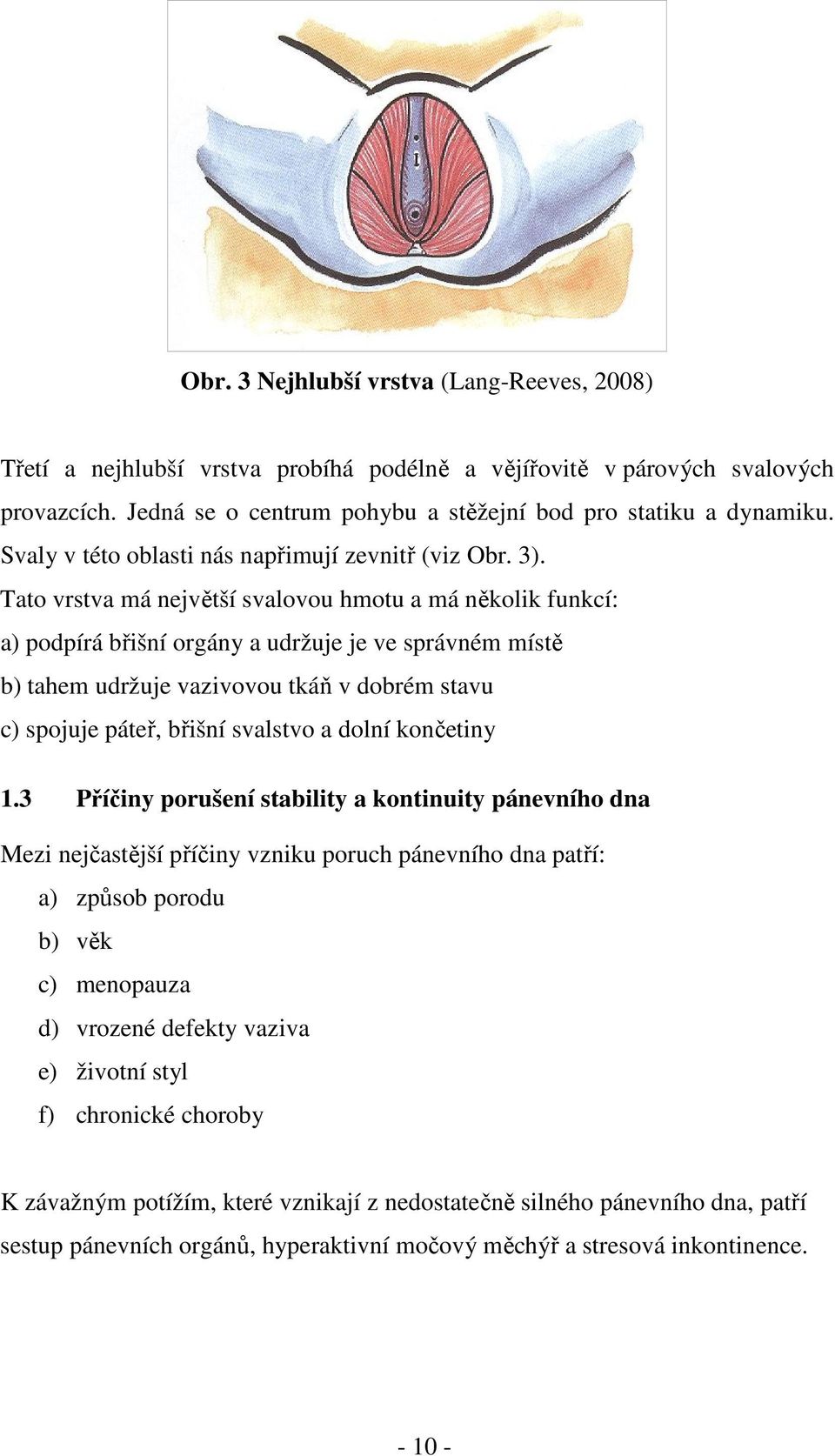 Tato vrstva má největší svalovou hmotu a má několik funkcí: a) podpírá břišní orgány a udržuje je ve správném místě b) tahem udržuje vazivovou tkáň v dobrém stavu c) spojuje páteř, břišní svalstvo a