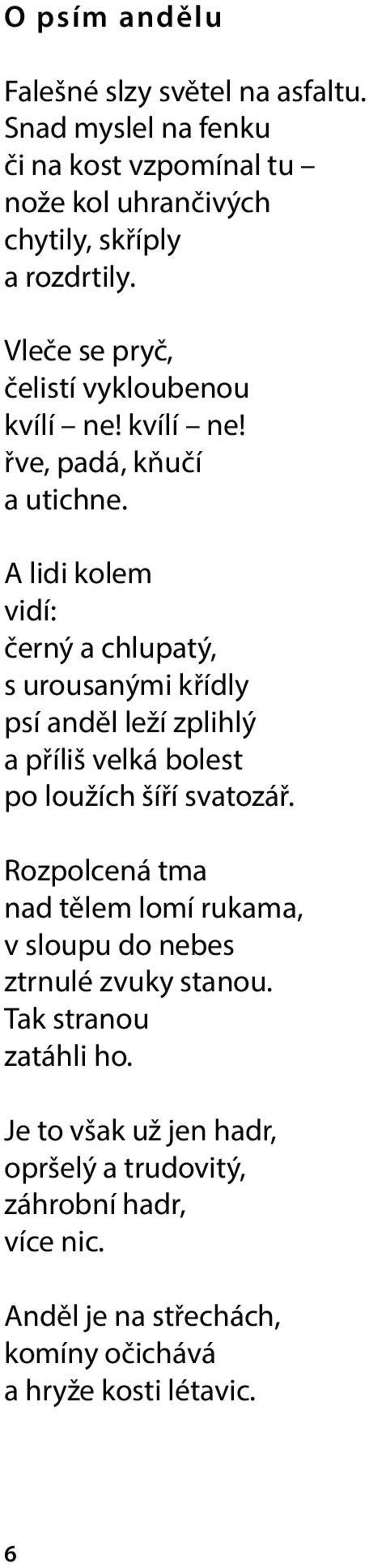 A lidi kolem vidí: černý a chlupatý, s urousanými křídly psí anděl leží zplihlý a příliš velká bolest po loužích šíří svatozář.