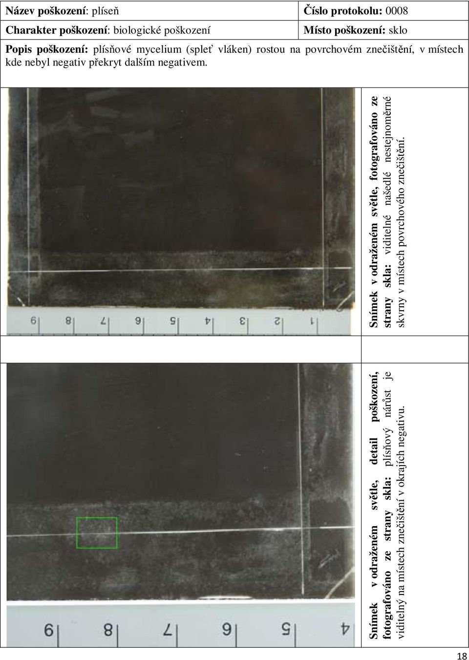 Snímek v odraženém světle, detail poškození, fotografováno ze strany skla: plísňový nárůst je viditelný na místech znečištění v