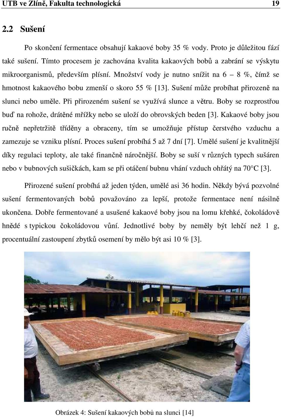 Množství vody je nutno snížit na 6 8 %, čímž se hmotnost kakaového bobu zmenší o skoro 55 % [13]. Sušení může probíhat přirozeně na slunci nebo uměle. Při přirozeném sušení se využívá slunce a větru.