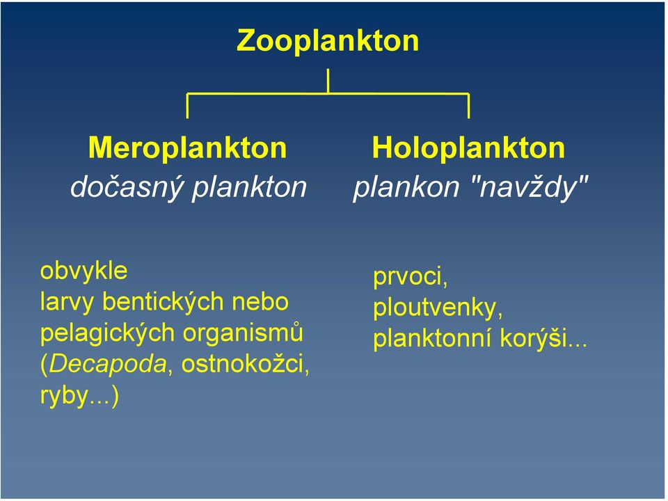 bentických nebo pelagických organismů (Decapoda,