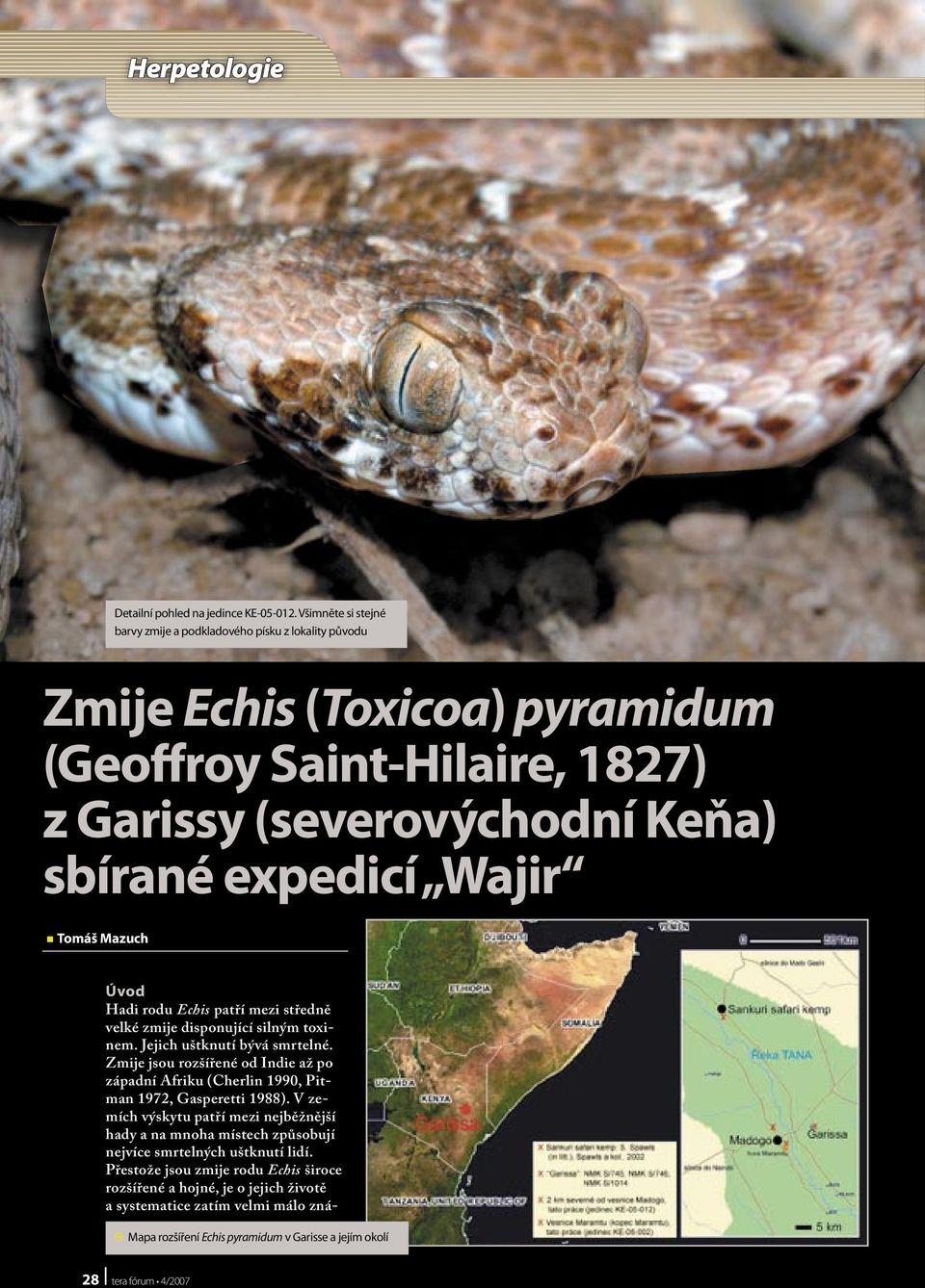 Wajir Tomáš Mazuch Úvod Hadi rodu Echis patří mezi středně velké zmije disponující silným toxinem. Jejich uštknutí bývá smrtelné.