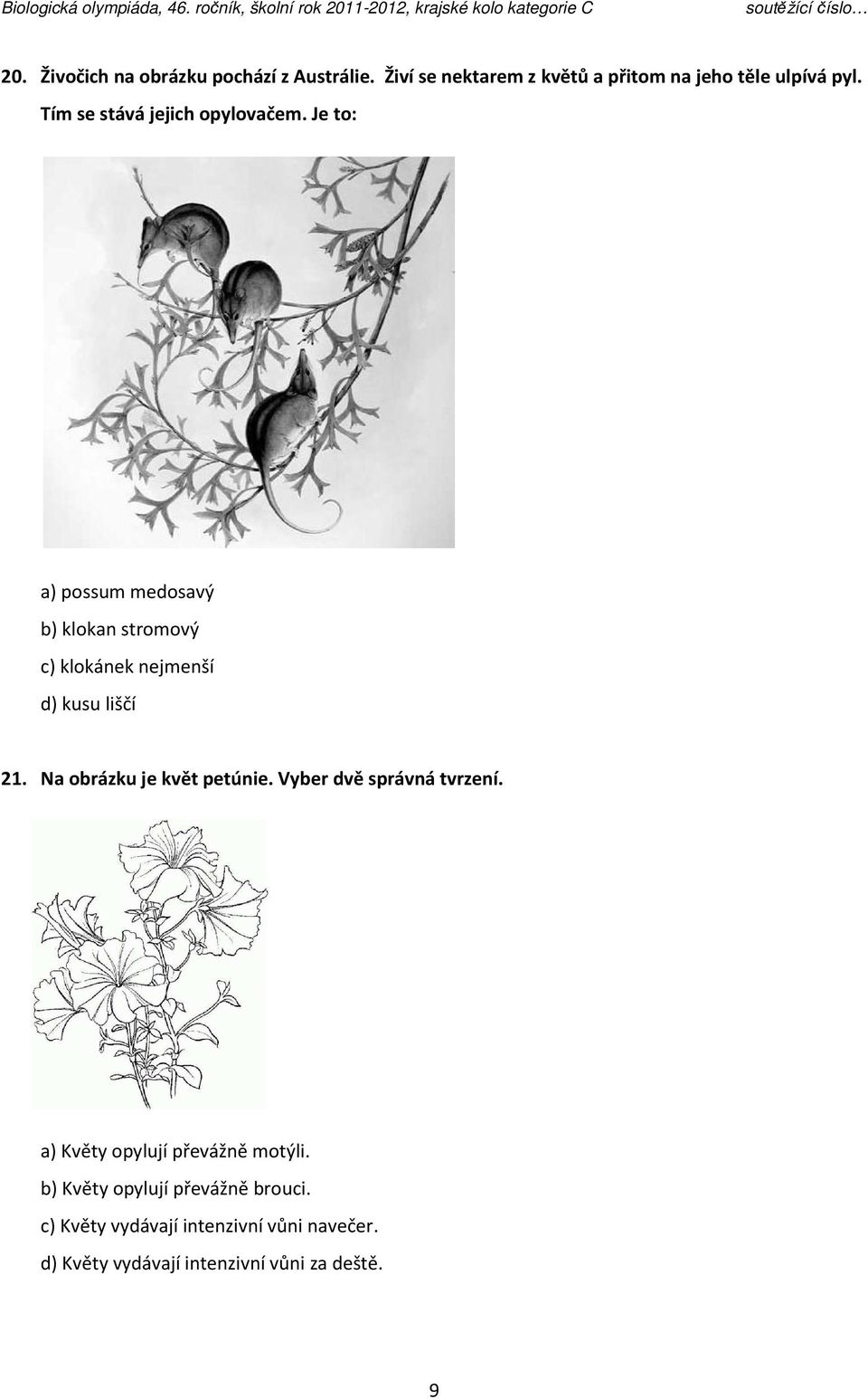 Je to: a) possum medosavý b) klokan stromový c) klokánek nejmenší d) kusu liščí 21.