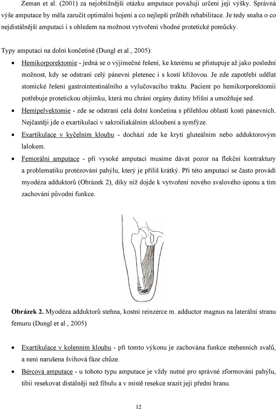 , 2005): Hemikorporektomie - jedná se o výjimečné řešení, ke kterému se přistupuje až jako poslední možnost, kdy se odstraní celý pánevní pletenec i s kostí křížovou.