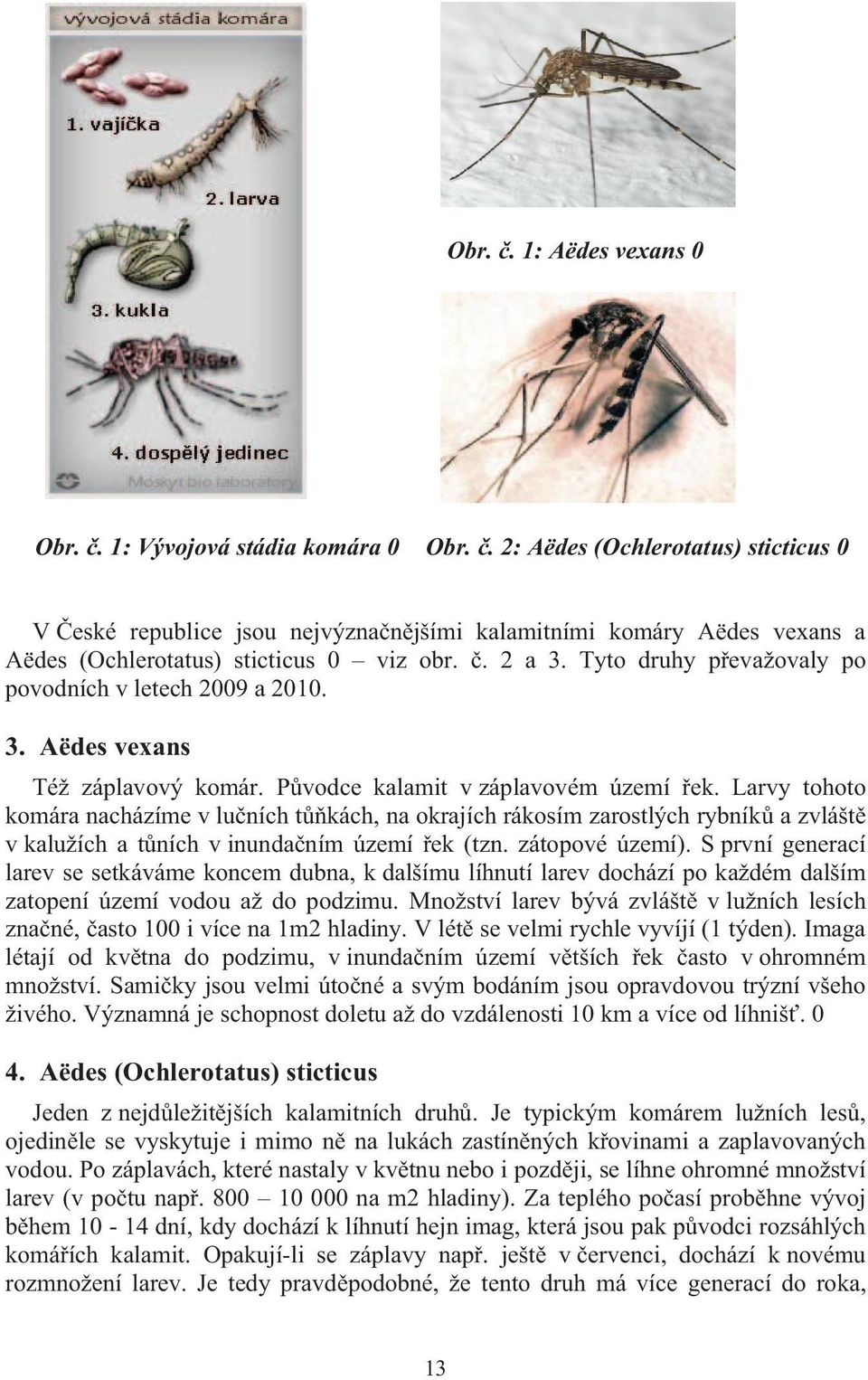 Tyto druhy p evažovaly po povodních v letech 2009 a 2010. 3. Aëdes vexans Též záplavový komár. P vodce kalamit v záplavovém území ek.