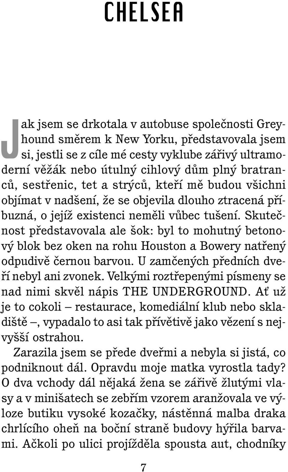 Skuteãnost pfiedstavovala ale ok: byl to mohutn betonov blok bez oken na rohu Houston a Bowery natfien odpudivû ãernou barvou. U zamãen ch pfiedních dvefií nebyl ani zvonek.