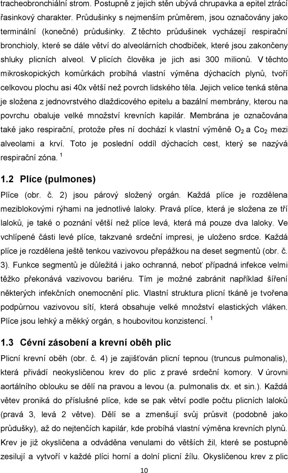 V těchto mikroskopických komůrkách probíhá vlastní výměna dýchacích plynů, tvoří celkovou plochu asi 40x větší neţ povrch lidského těla.