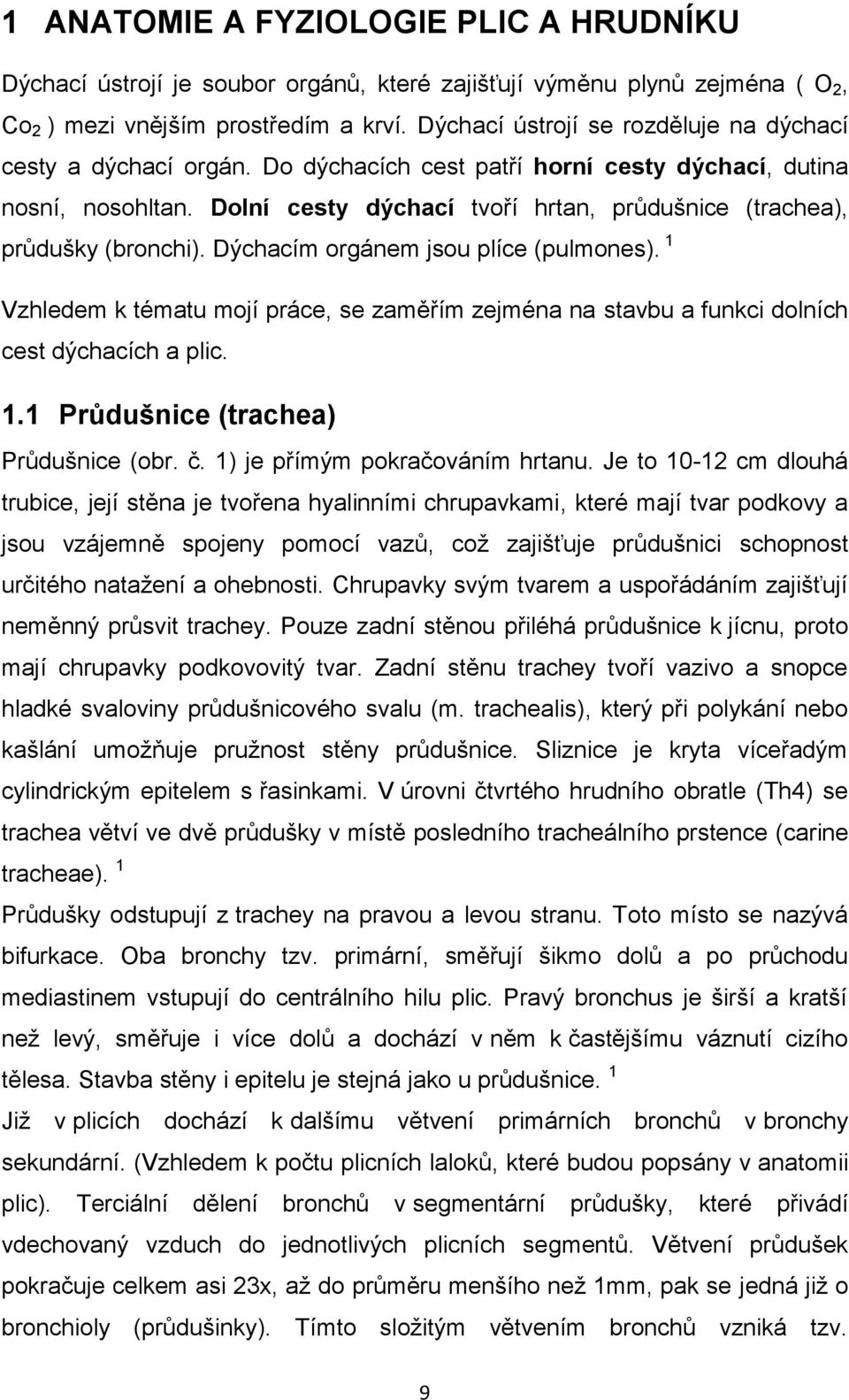 Dolní cesty dýchací tvoří hrtan, průdušnice (trachea), průdušky (bronchi). Dýchacím orgánem jsou plíce (pulmones).