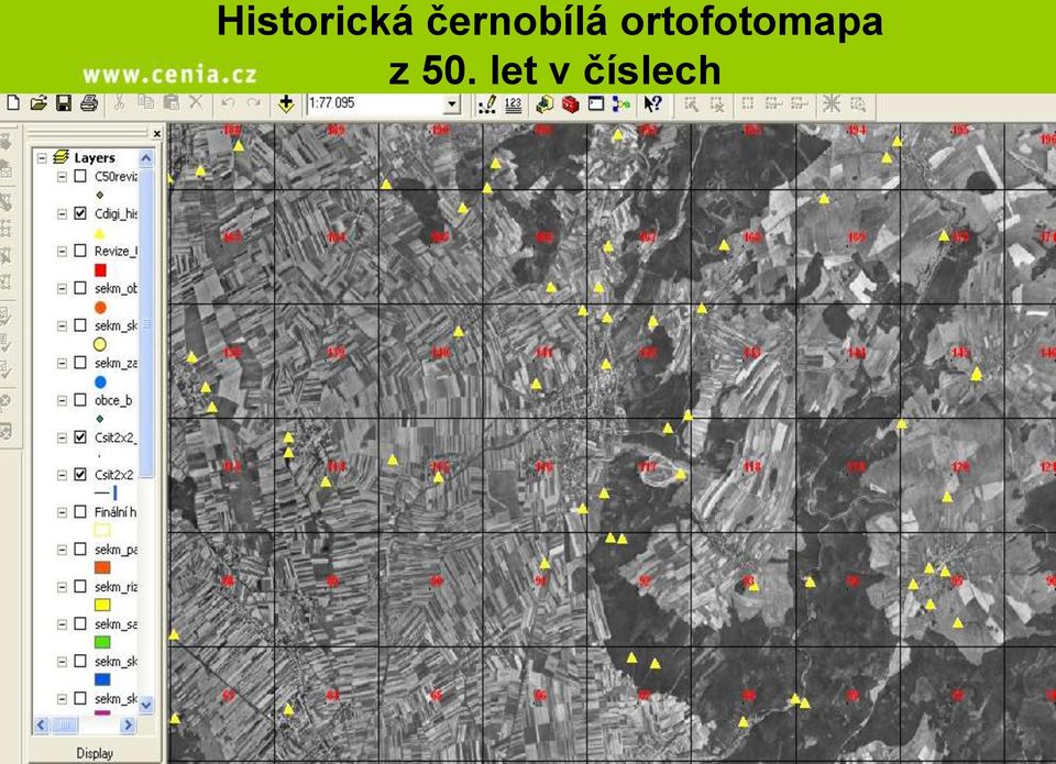 ortofotomapa