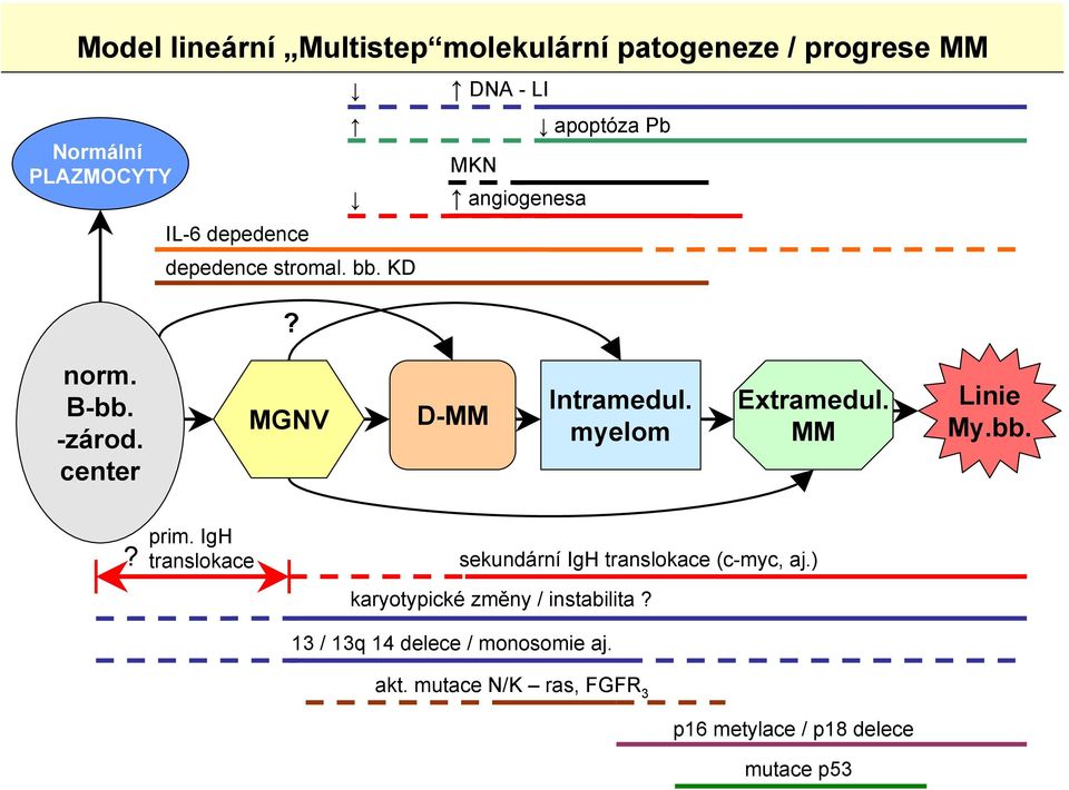 myelom Extramedul. MM Linie My.bb.? prim. IgH translokace sekundární IgH translokace (c-myc, aj.