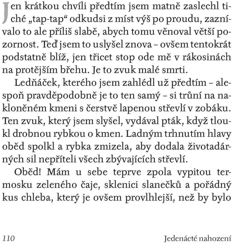 Ledňáček, kterého jsem zahlédl už předtím alespoň pravděpodobně je to ten samý si trůní na nakloněném kmeni s čerstvě lapenou střevlí v zobáku.