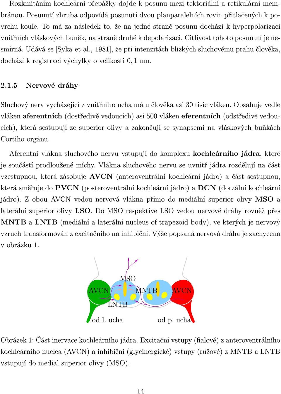 , 1981], že při intenzitách blízkých sluchovému prahu člověka, dochází k registraci výchylky o velikosti 0, 1 nm. 2.1.5 Nervové dráhy Sluchový nerv vycházející z vnitřního ucha má u člověka asi 30 tisíc vláken.