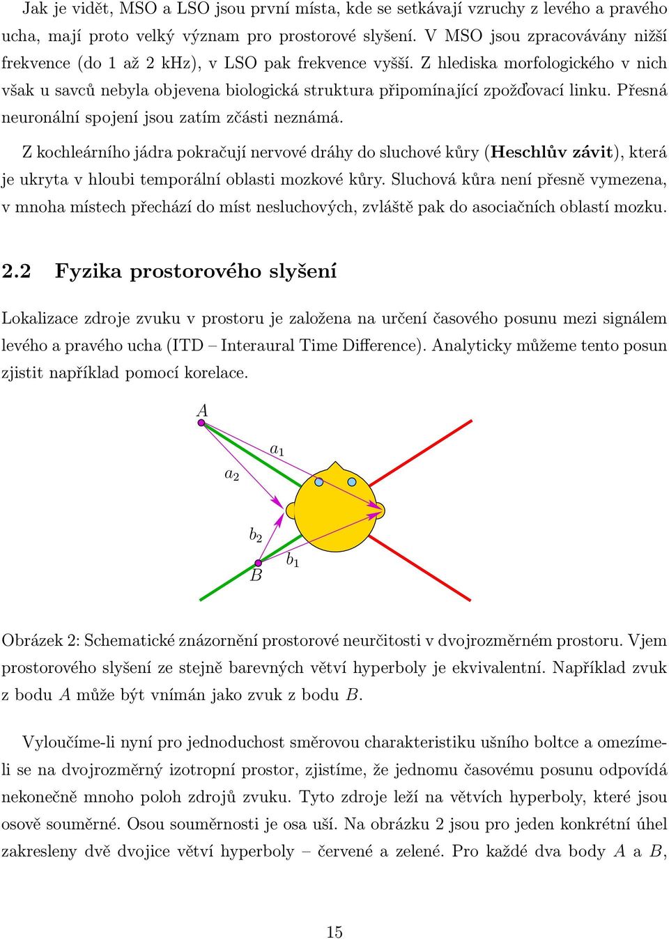 Přesná neuronální spojení jsou zatím zčásti neznámá. Z kochleárního jádra pokračují nervové dráhy do sluchové kůry (Heschlův závit), která je ukryta v hloubi temporální oblasti mozkové kůry.