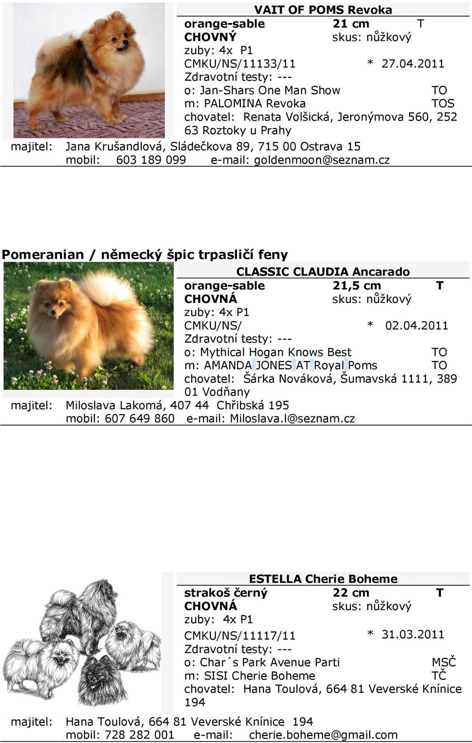 e-mail: goldenmoon@seznam.cz Pomeranian / německý špic trpasličí feny CLASSIC CLAUDIA Ancarado orange-sable 21,5 cm T zuby: 4x P1 CMKU/NS/ * 02.04.