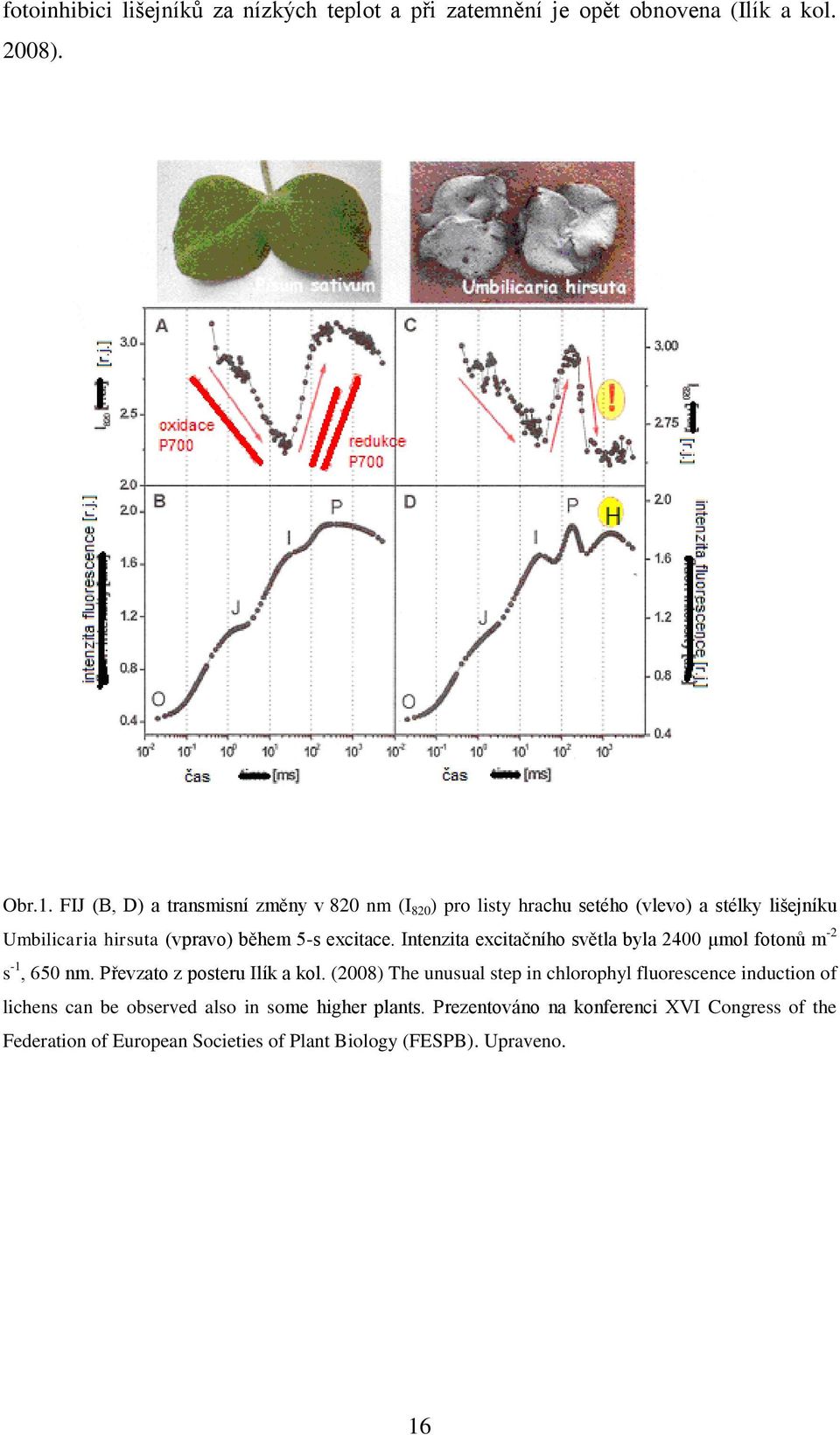 excitace. Intenzita excitačního světla byla 2400 μmol fotonů m -2 s -1, 650 nm. Převzato z posteru Ilík a kol.