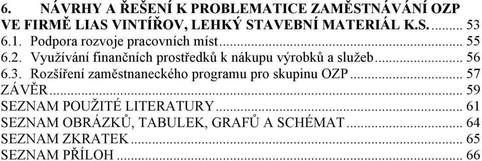 .. 56 6.3. Rozšíření zaměstnaneckého programu pro skupinu OZP... 57 ZÁVĚR... 59 SEZNAM POUŢITÉ LITERATURY.