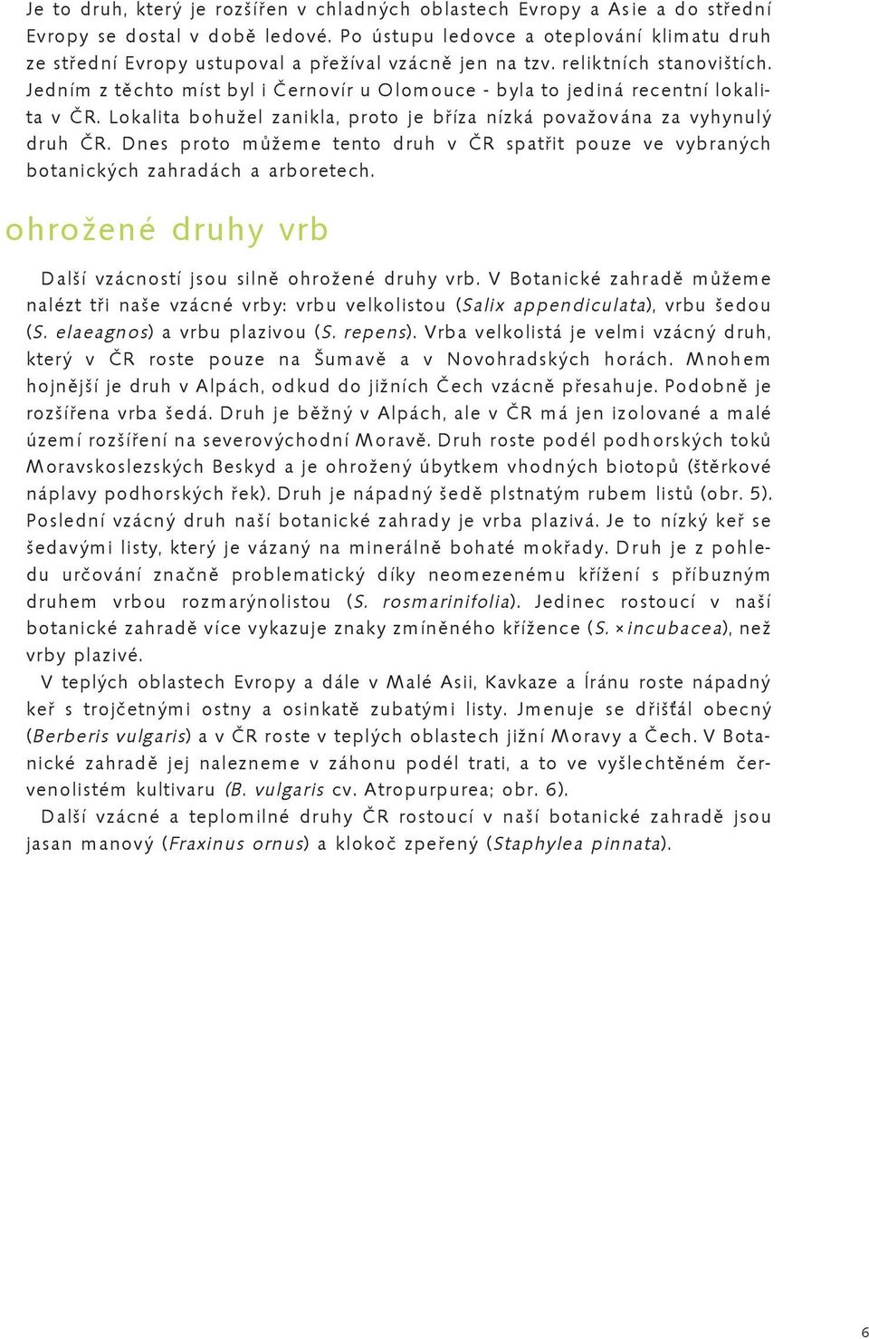 Jedním z těchto míst byl i Černovír u Olomouce - byla to jediná recentní lokalita v ČR. Lokalita bohužel zanikla, proto je bříza nízká považována za vyhynulý druh ČR.