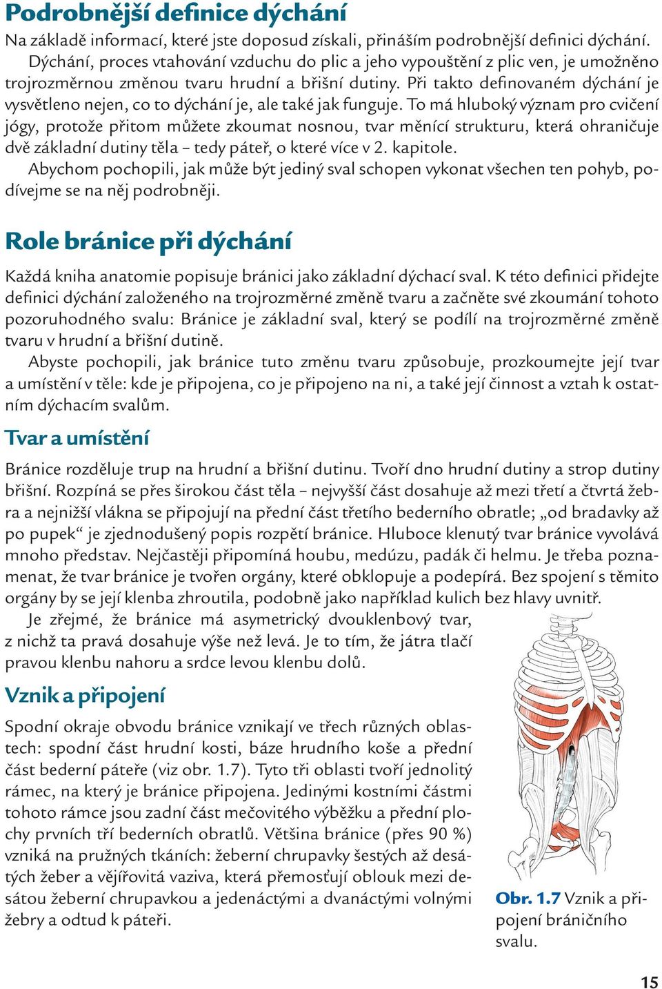 Při takto definovaném dýchání je vysvětleno nejen, co to dýchání je, ale také jak funguje.