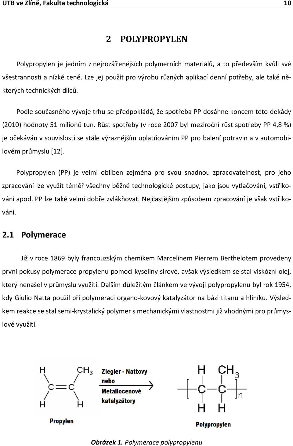 Podle současného vývoje trhu se předpokládá, že spotřeba PP dosáhne koncem této dekády (2010) hodnoty 51 milionů tun.