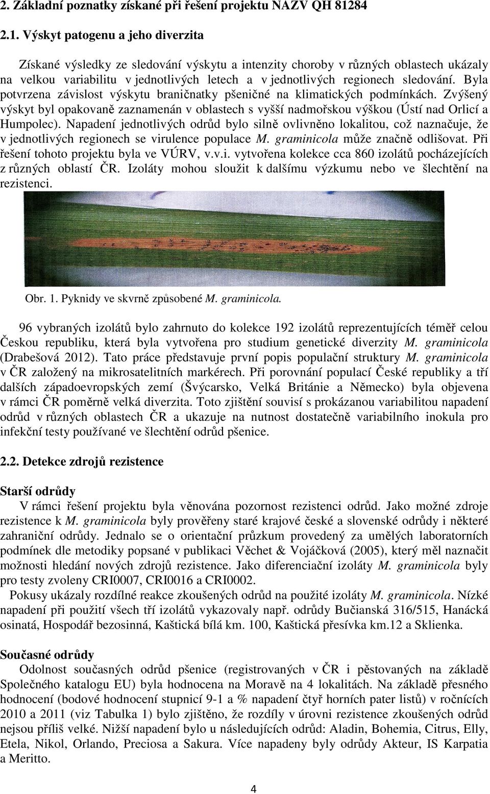 Výskyt patogenu a jeho diverzita Získané výsledky ze sledování výskytu a intenzity choroby v různých oblastech ukázaly na velkou variabilitu v jednotlivých letech a v jednotlivých regionech sledování.