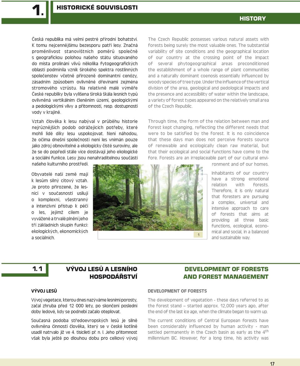 rostlinných společenstev včetně přirozeně dominantní cenózy, zásadním způsobem ovlivněné dřevinami zejména stromového vzrůstu.