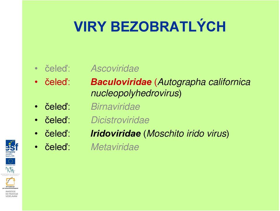 nucleopolyhedrovirus) čeleď: Birnaviridae čeleď: