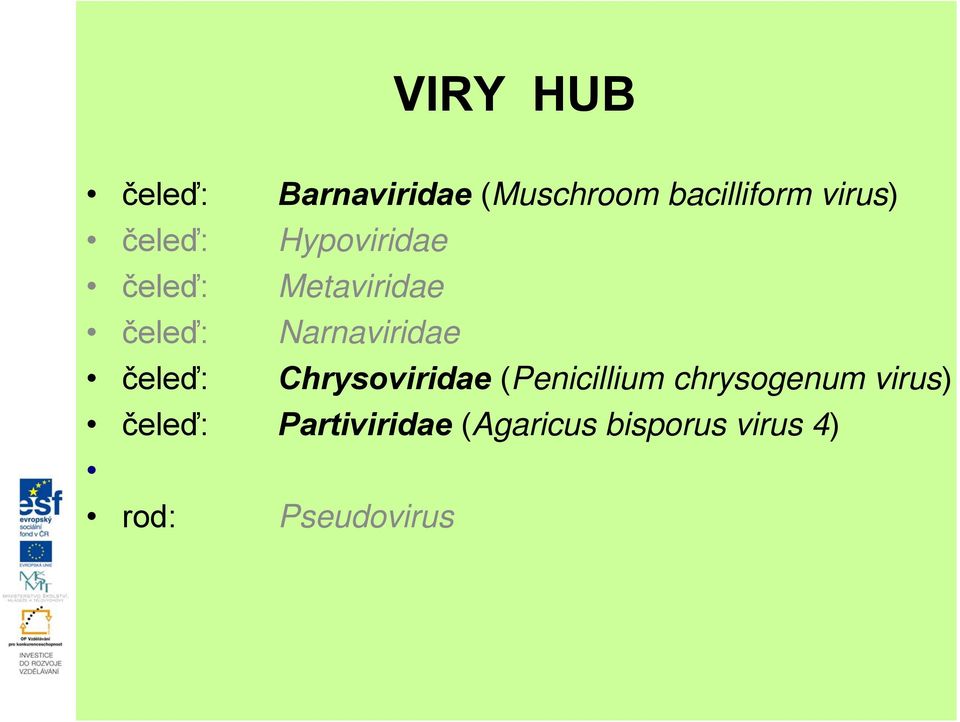 čeleď: Chrysoviridae (Penicillium chrysogenum virus)