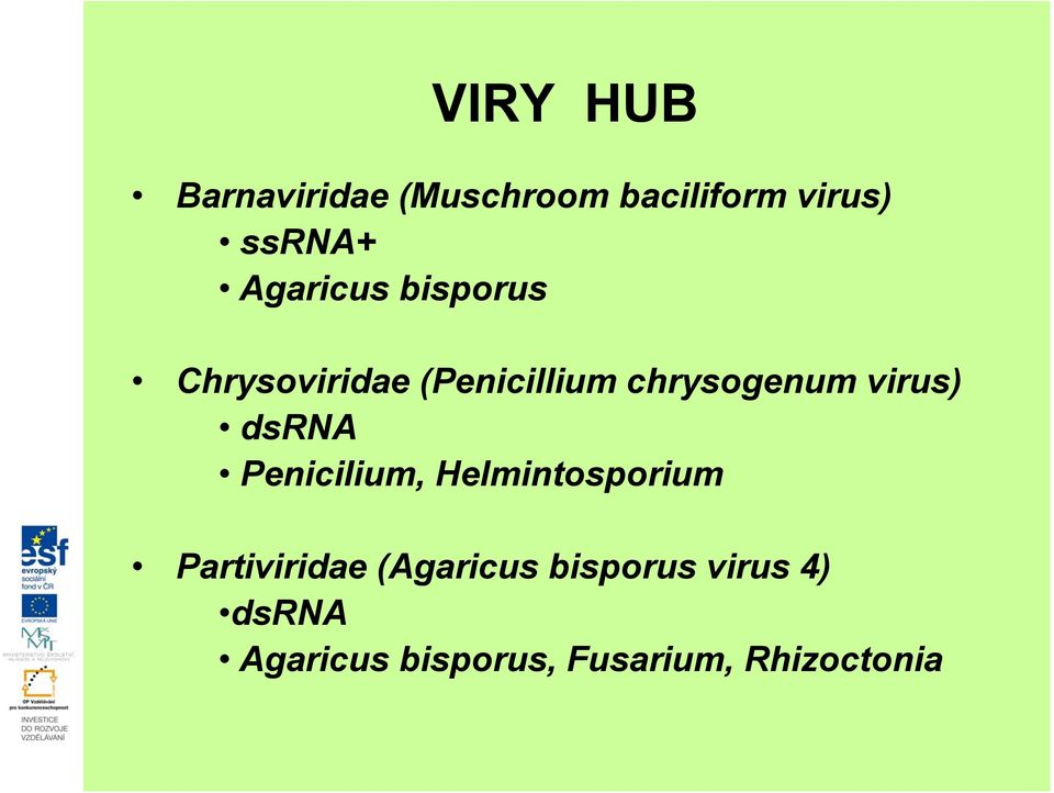 virus) dsrna Penicilium, Helmintosporium Partiviridae