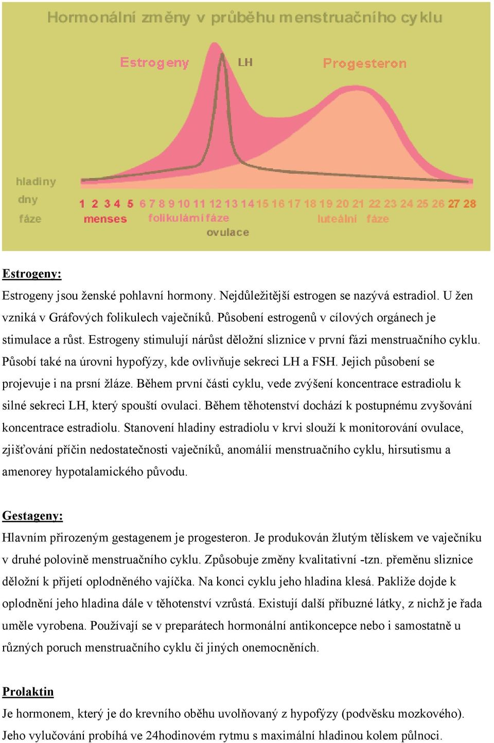 Působí také na úrovni hypofýzy, kde ovlivňuje sekreci LH a FSH. Jejich působení se projevuje i na prsní žláze.