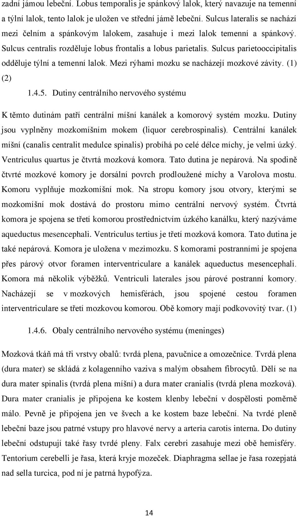 Sulcus parietooccipitalis odděluje týlní a temenní lalok. Mezi rýhami mozku se nacházejí mozkové závity. (1) (2) 1.4.5.