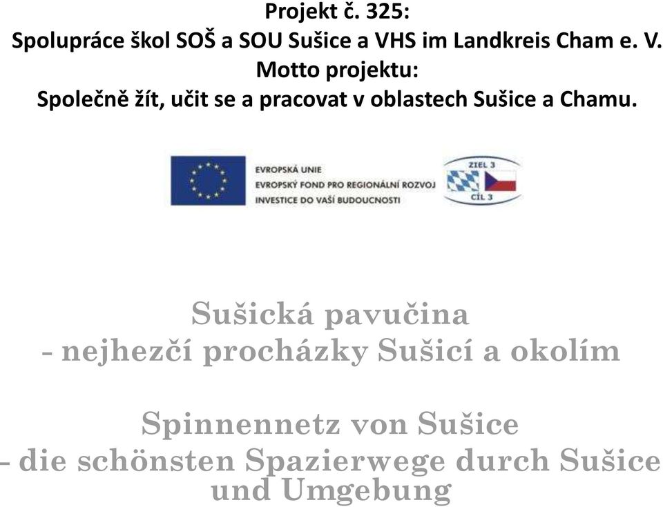 S im Landkreis Cham e. V.