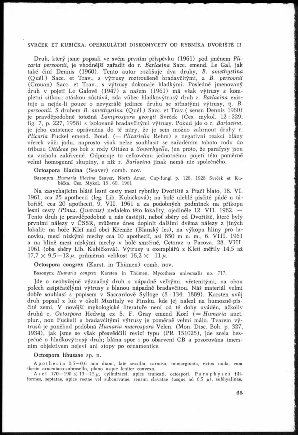 Posledně jmenovaný druh v pojetí Le Galové (1947) a našem (1961) má však výtrusy s kompletní síťkou; otázkou zůstává, zda vůbec hladkovýtrusý druh r.