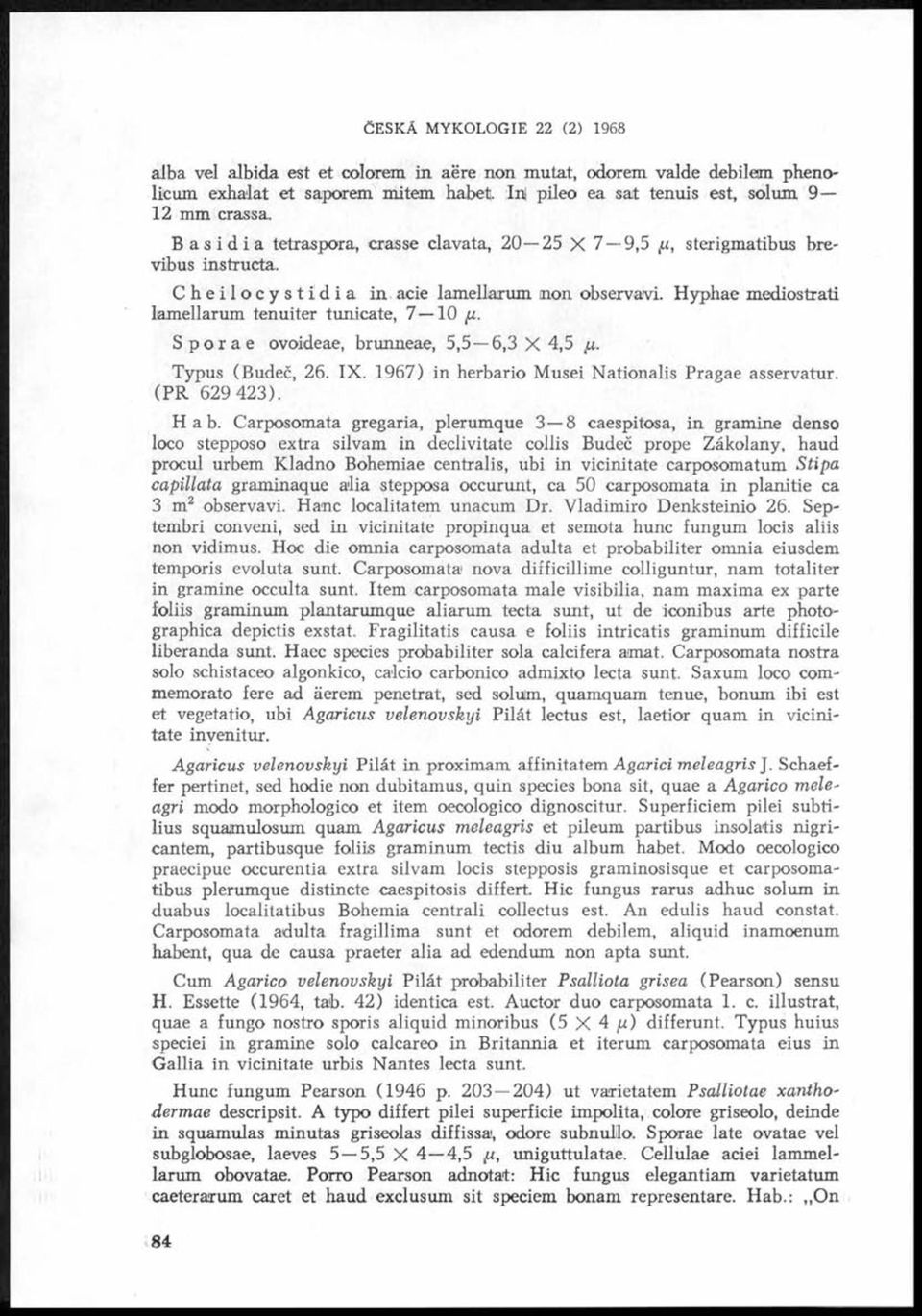 . Sporae ovoideae, brunneae, 5,5 6,3 X 4,5 p.. Typus (Budeč, 26. X. 1967) in herbario Musei Nationalis Pragae asservatur. (P R 629 4 2 3 ). a b.