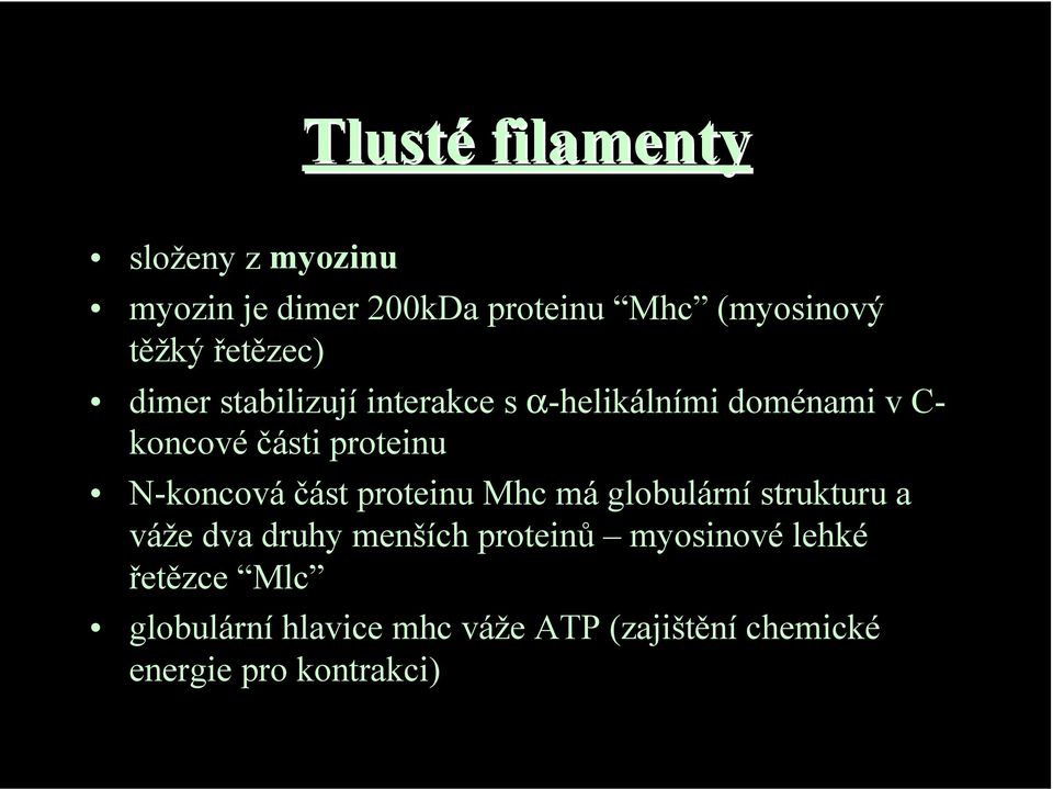 N-koncová část proteinu Mhc má globulární strukturu a váže dva druhy menších proteinů